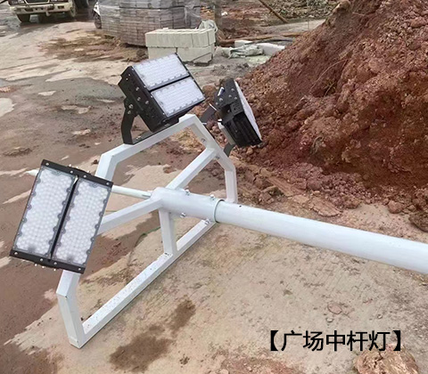 QDLED-T029球场丝瓜app网站免费LED投光灯200W广场中杆灯安装
